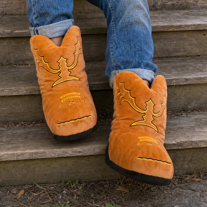 Cowboy Slides